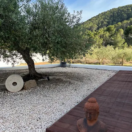Ses Oliveres * San José